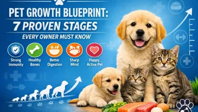 Pet Growth