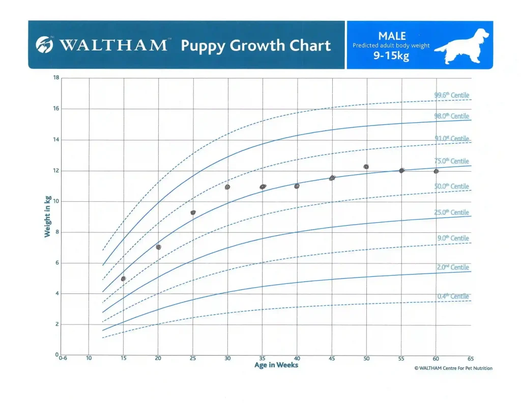 Pet Growth