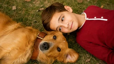 Did Bailey Have in A Dog's Purpose