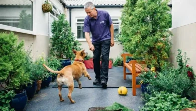 Pet Grow a Garden