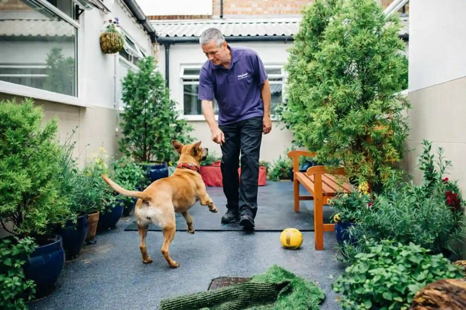 Pet Grow a Garden
