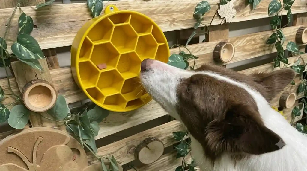 Flowbee for Pets