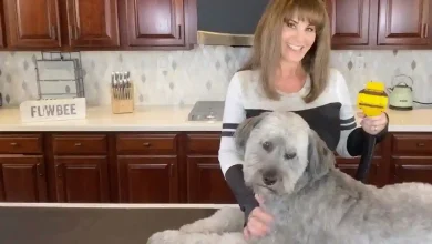 Flowbee for Pets