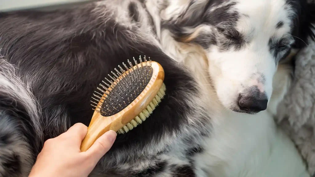 Best Brush for Golden Retriever Shedding