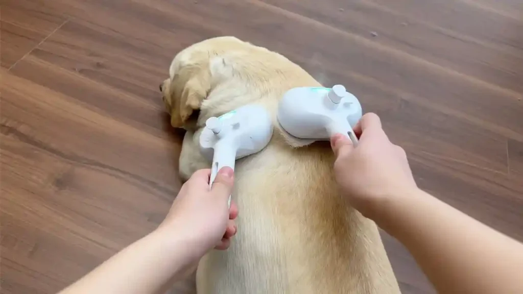 Flowbee for Pets