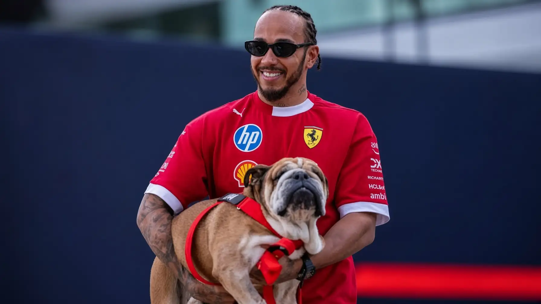 lewis-hamiltons-dog-health