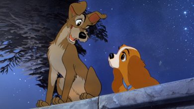 Lady and the Tramp Dog Breed