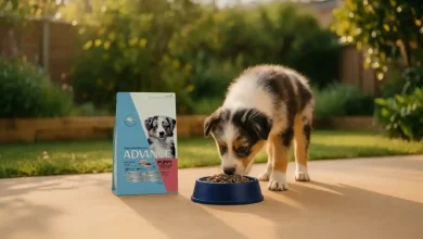 Advance Large Breed Puppy 15kg