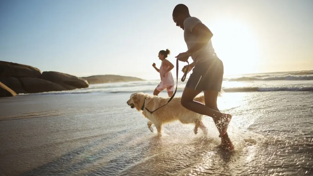 Dog Beach Near Me