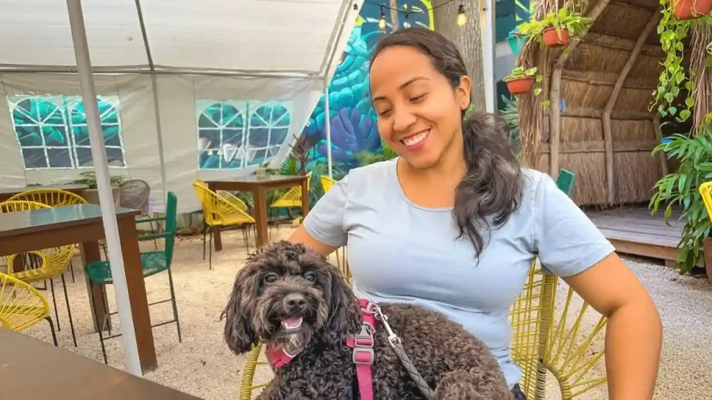 Dog in Spanish
