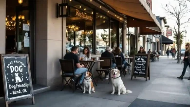 Dog Friendly Restaurants Near Me