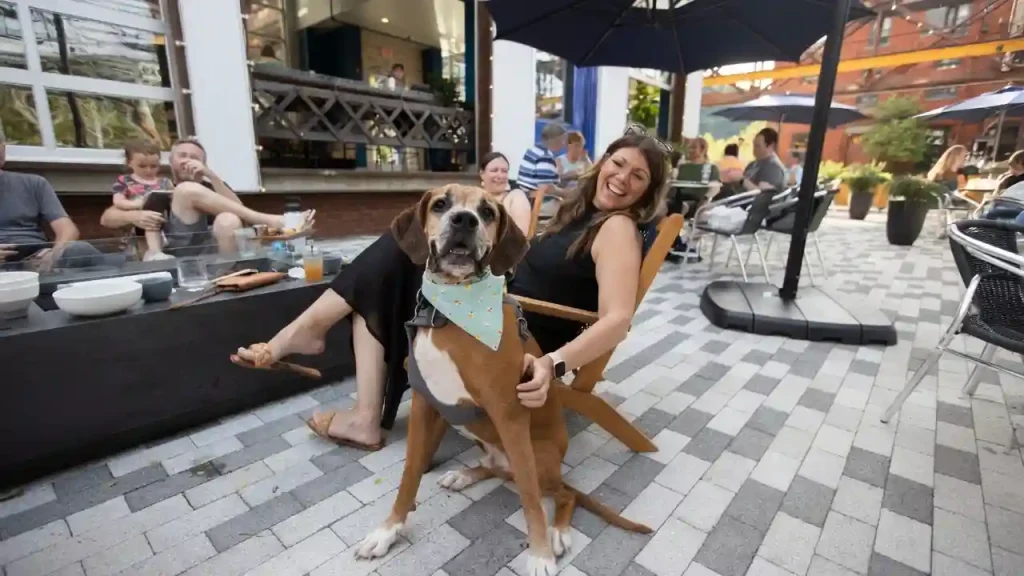 Dog Friendly Restaurants Near Me
