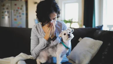 Dog Allergy