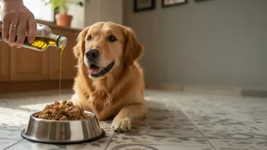 Vegetable Oil Good for Dogs Skin
