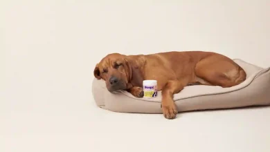 Pet Supplement Growth
