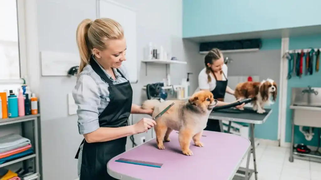 Dog Tail Growth