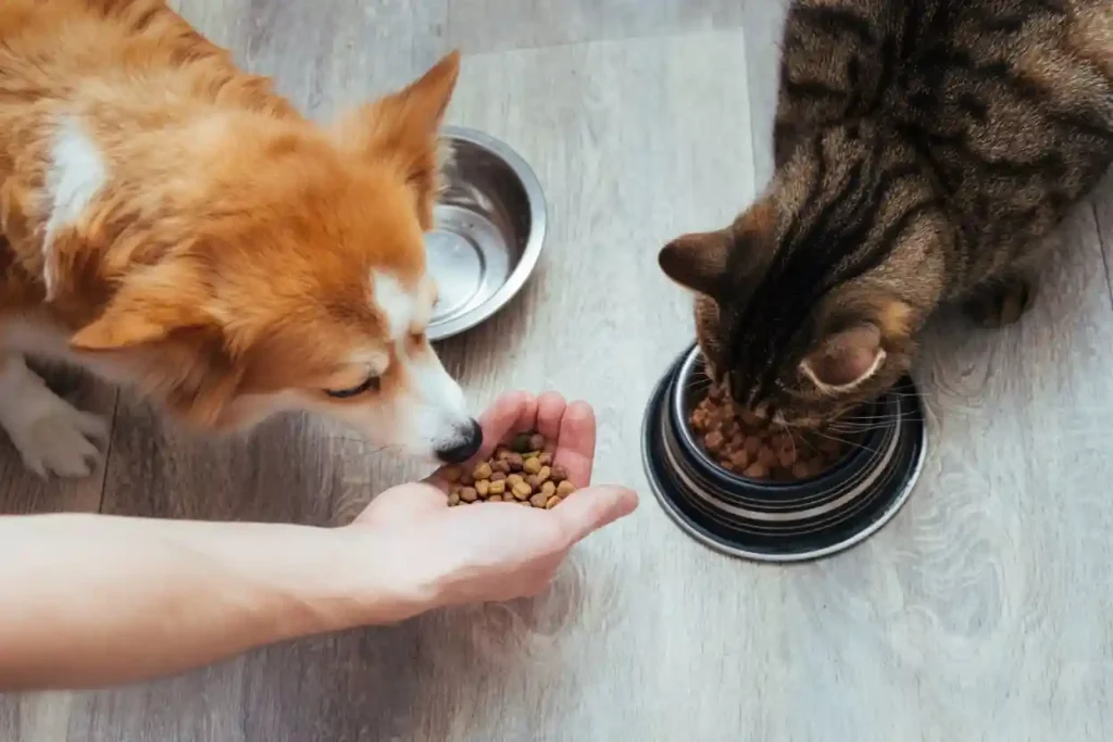 Pet Nutrition