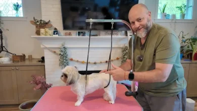 Dog Grooming