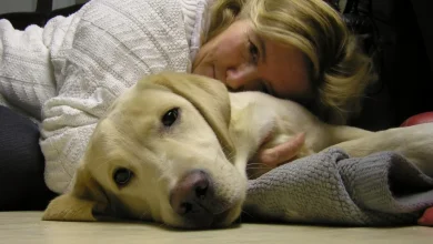 Dog with Growth