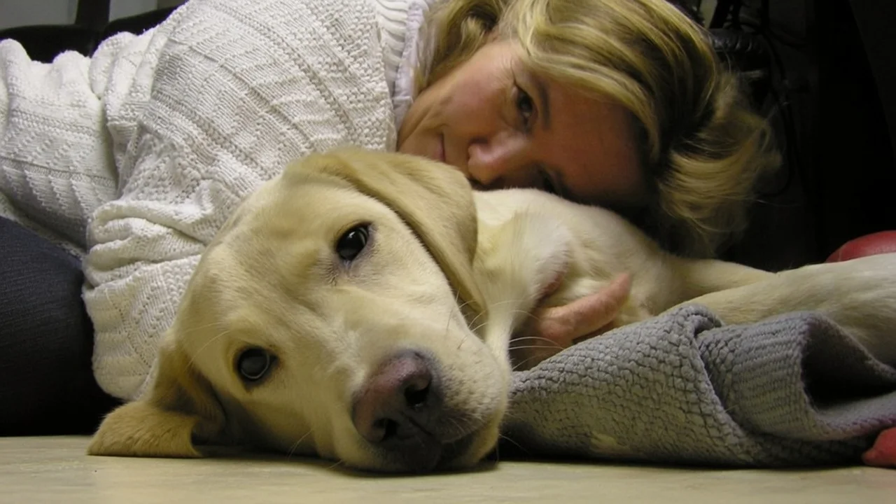 Dog with Growth