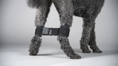 Dog Growth Leg