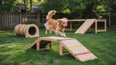 Pet Grow A Garden