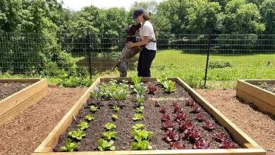 Pet Grow a Garden