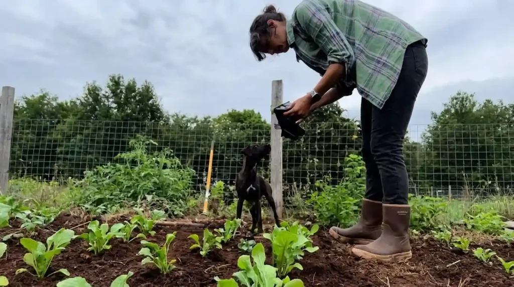 Pet Grow a Garden