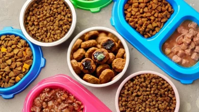 Dog Food Expire