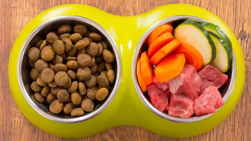 Dry Dog Food 