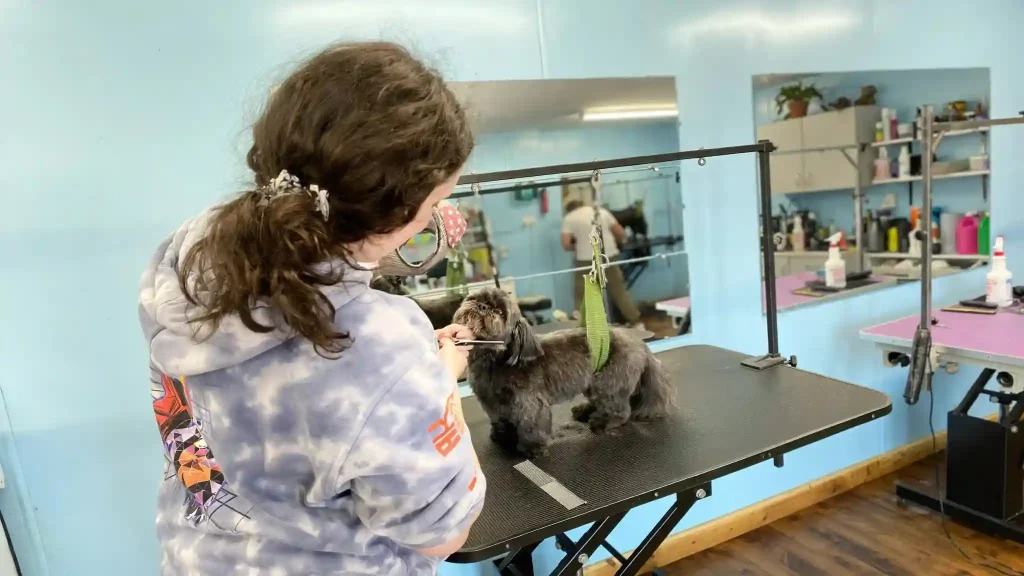 Dog Grooming Near Me