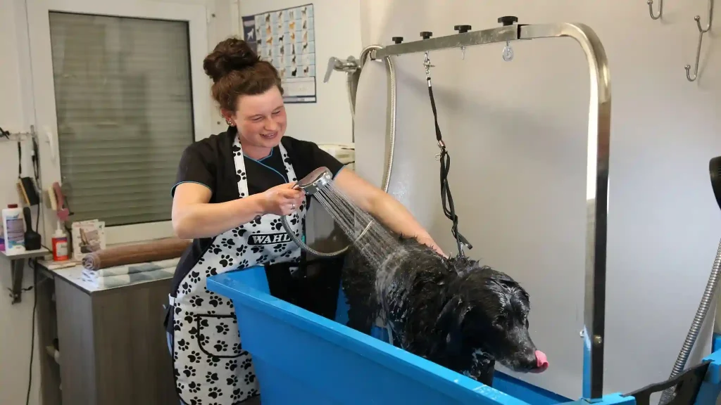 Dog Grooming Tips