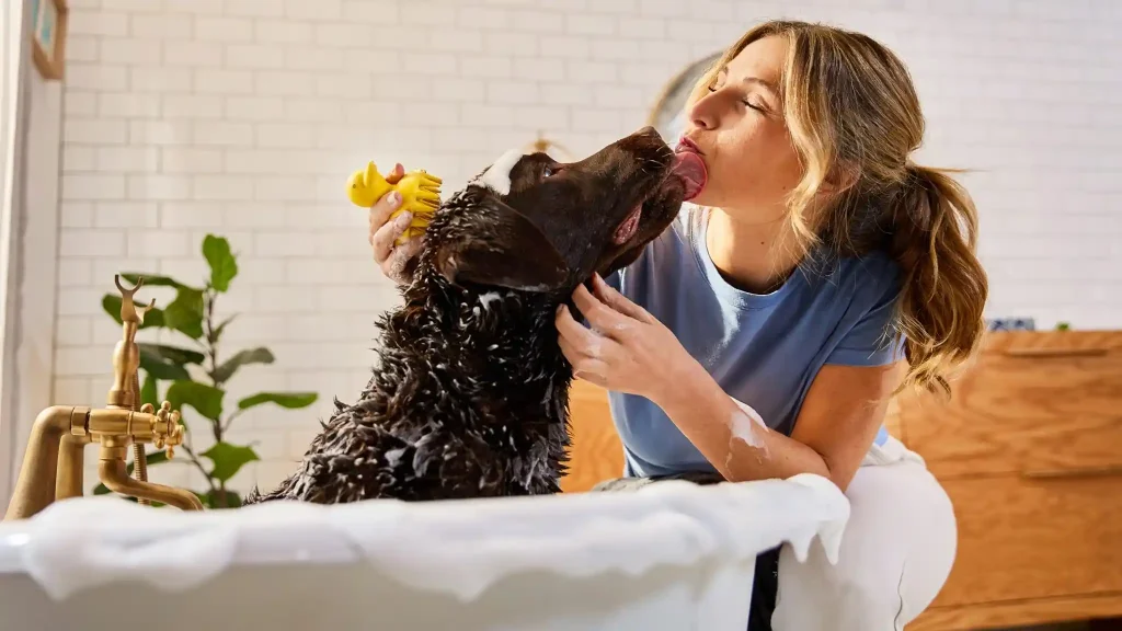 Dog Shampoo for Itchy Skin