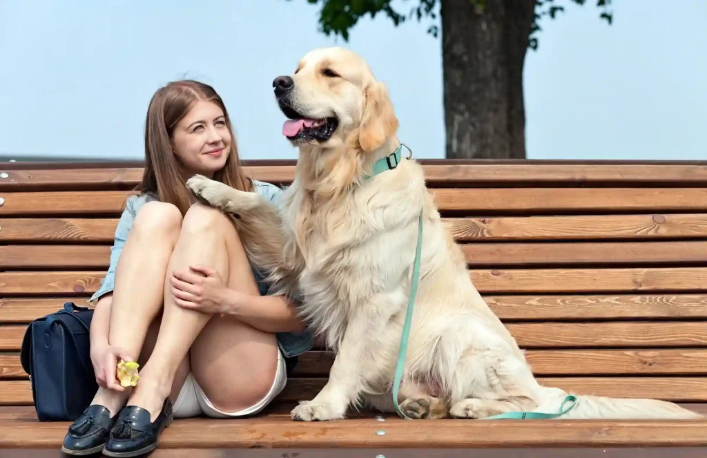 Best Dog Breeds for Anxiety Support 