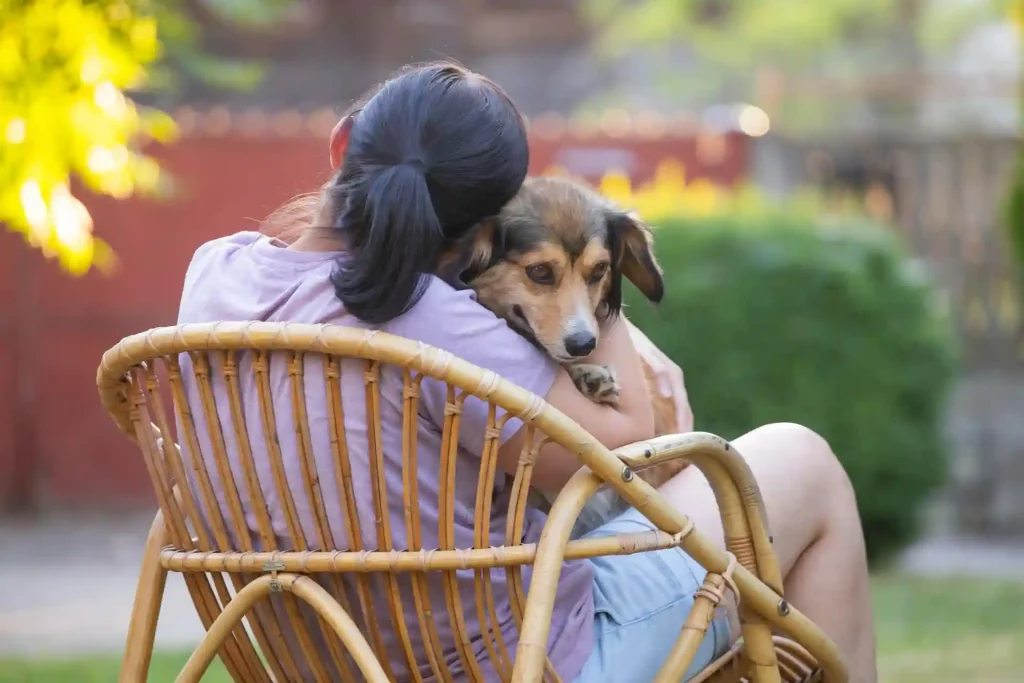 Best Dog Breeds for Anxiety Support 