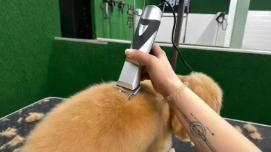 Best Clippers for Matted Dog Hair