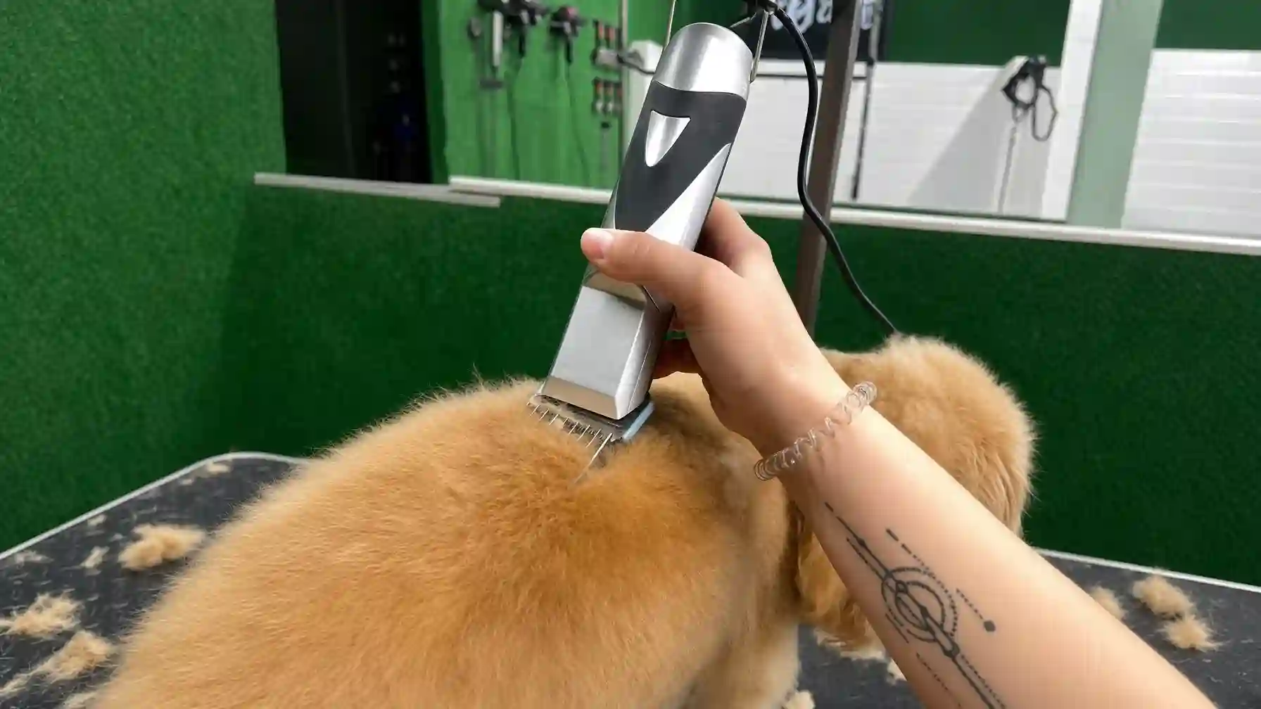 Best Clippers for Matted Dog Hair