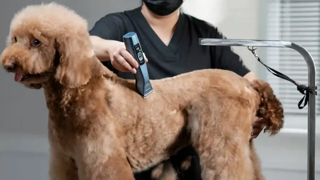 Best Clippers for Matted Dog Hair