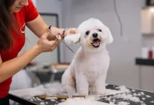 Grooming Injuries at Home