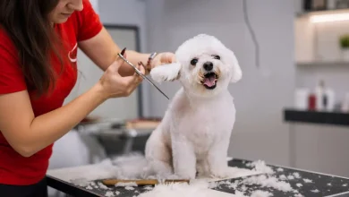 Grooming Injuries at Home