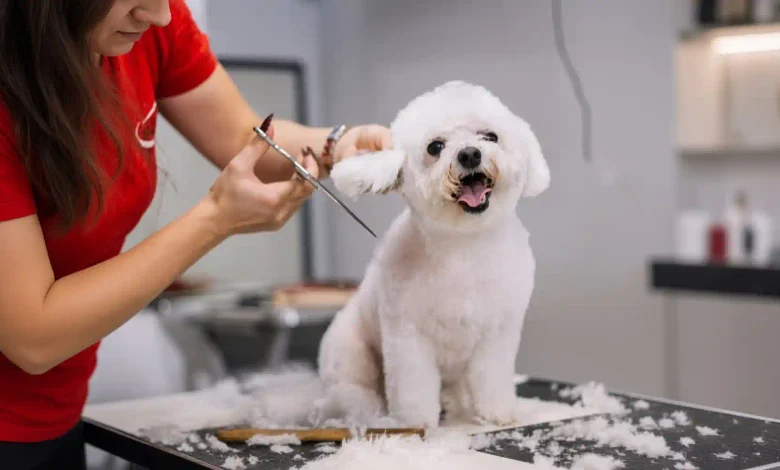 Grooming Injuries at Home