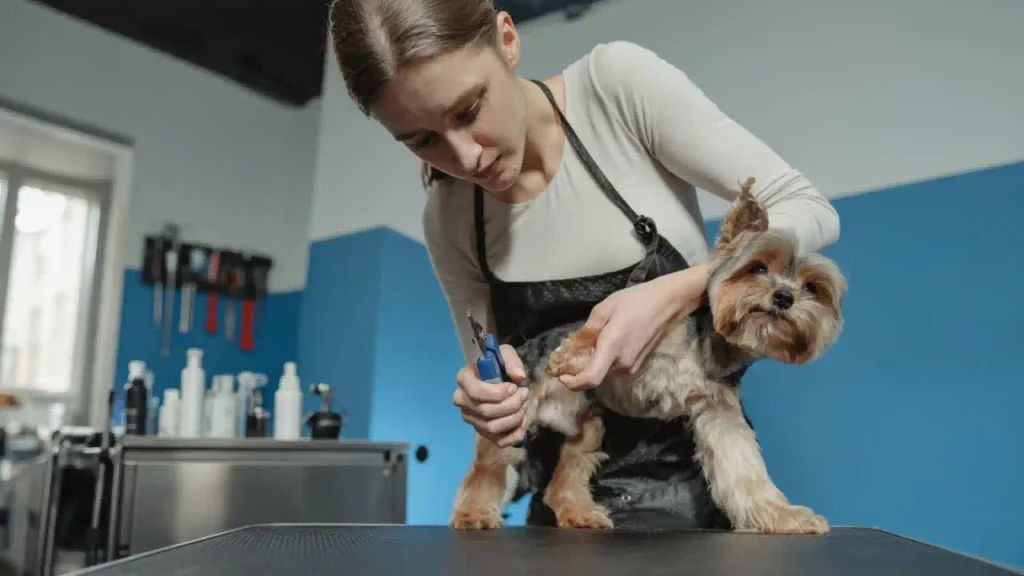 Grooming Injuries at Home