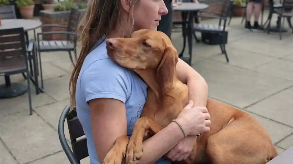 Clingy Dogs