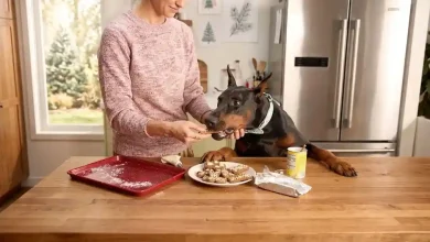 My Own Dog Food